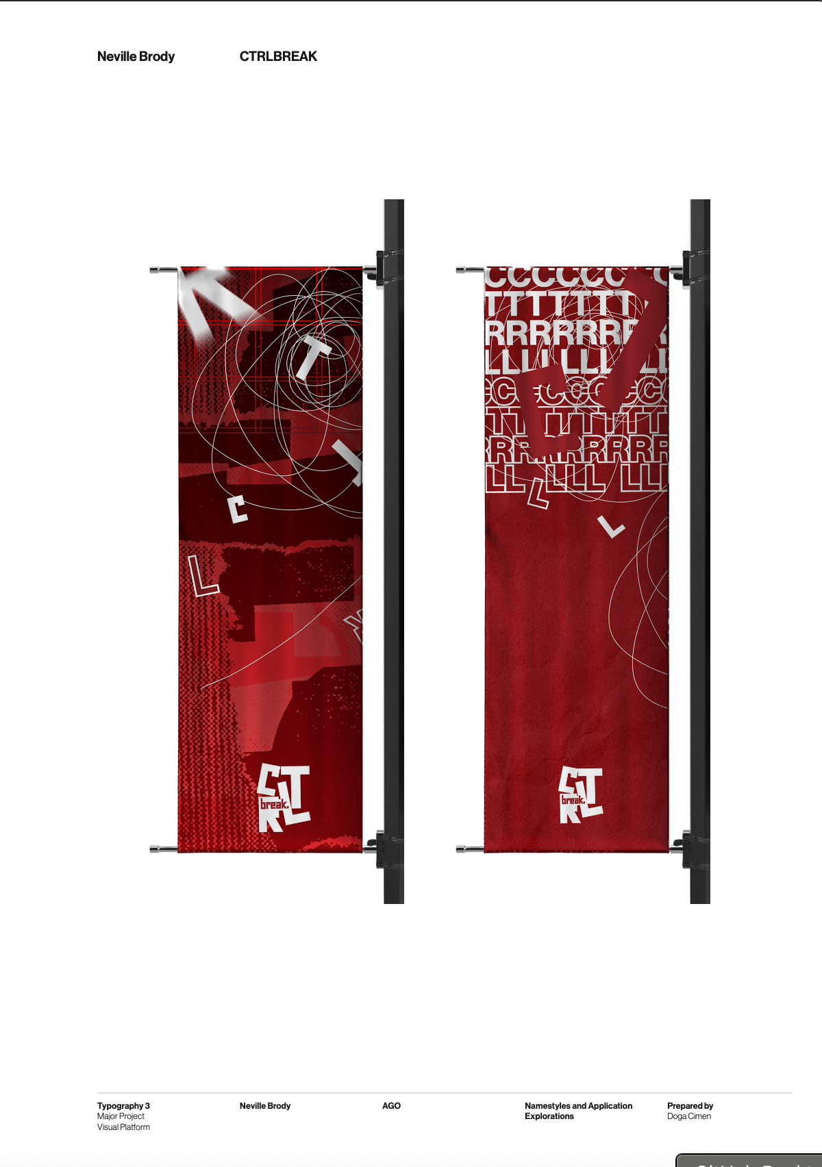 Visual Platform brand asset 2